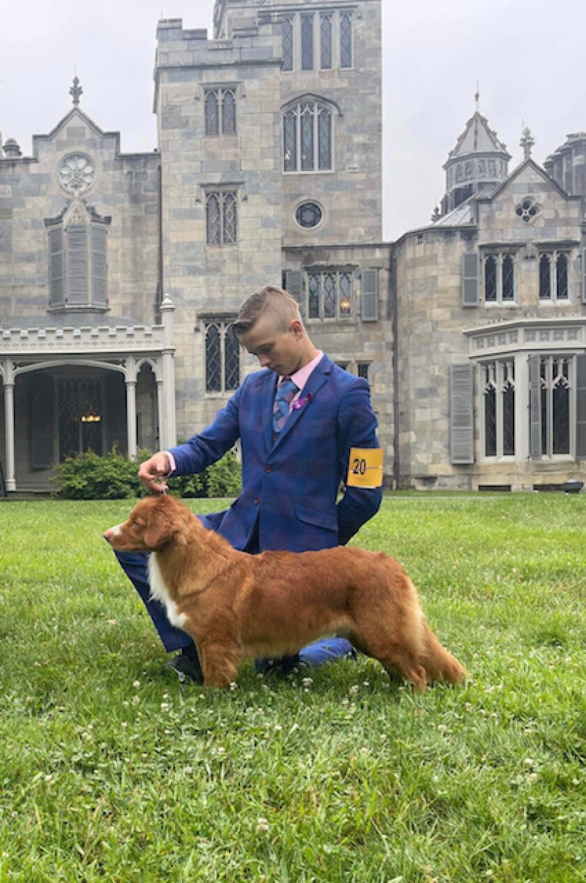 dogshow1.jpeg