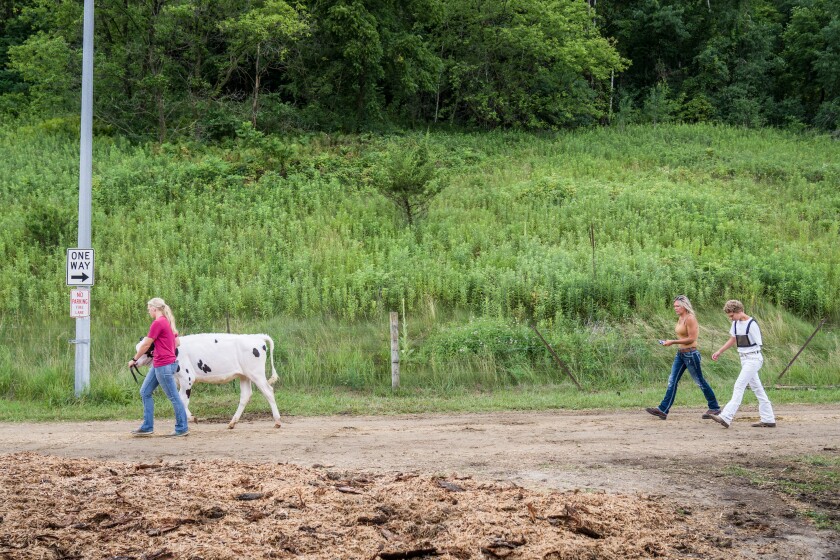 Wabasha County Fair