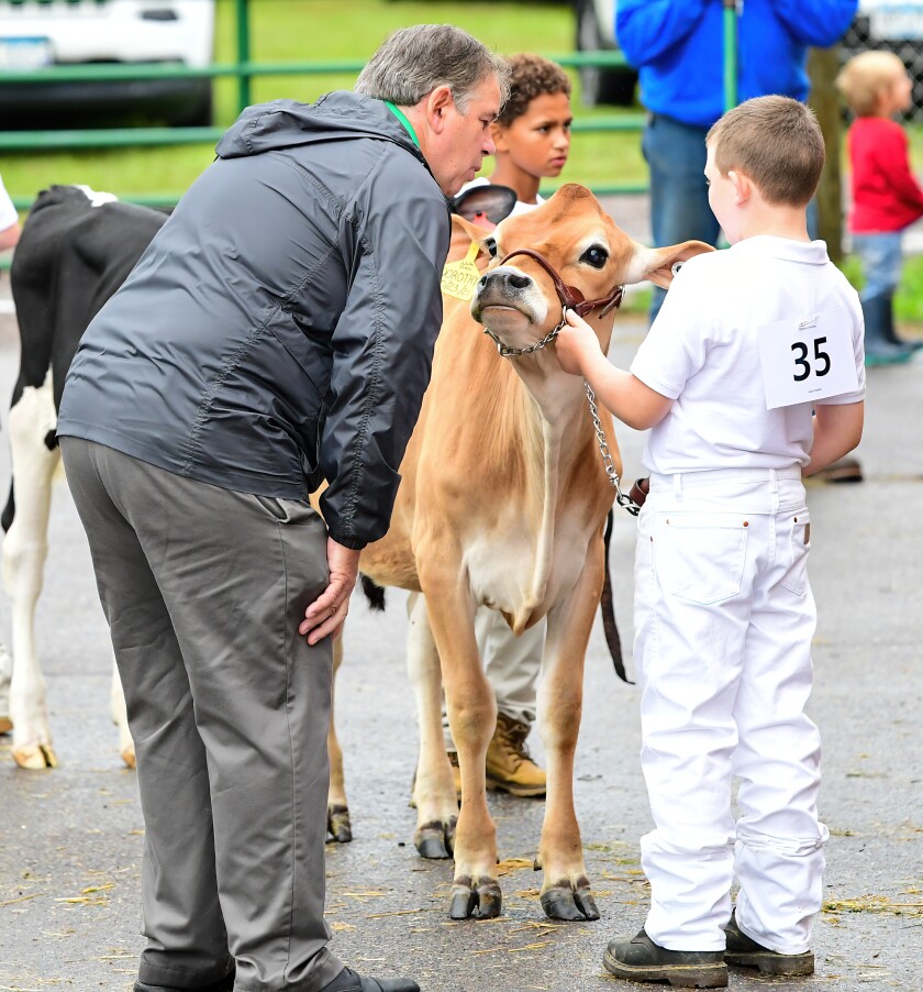 Dairy judge talks to exhibitor