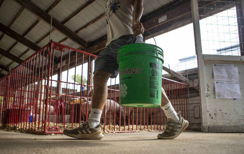 Luke Ruter PHOTOS: FFA, 4-H'ers show animals at Kandiyohi County Fair - West ...
