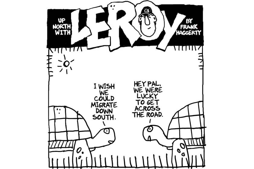 110722-Leroy-Cartoon-turtle-migration.jpg