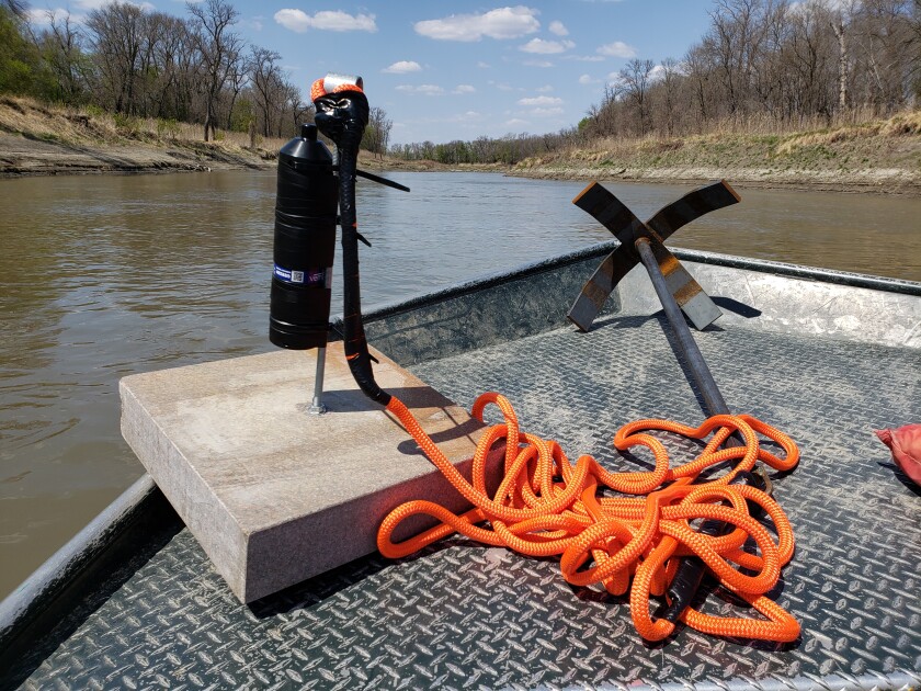 Sturgeon in the Red River Basin show continued signs of natural reproduction  - Grand Forks Herald