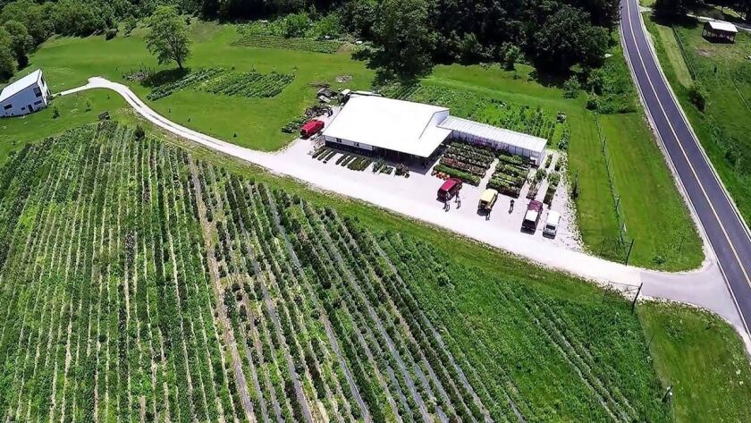 Spring Grove Property Arial Shot.jpg
