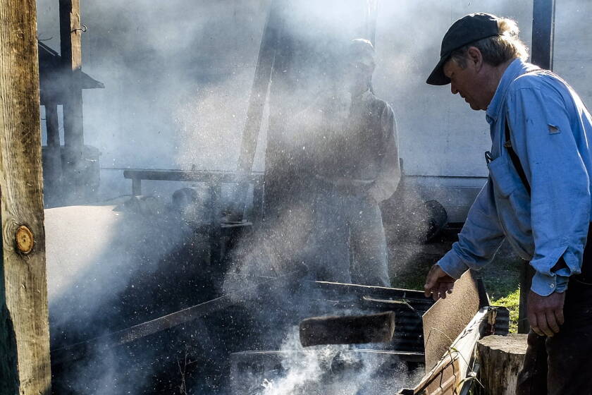 Dead Wild Rice Stand A fall tradition: Bringing in the wild rice harvest - InForum | Fargo ...