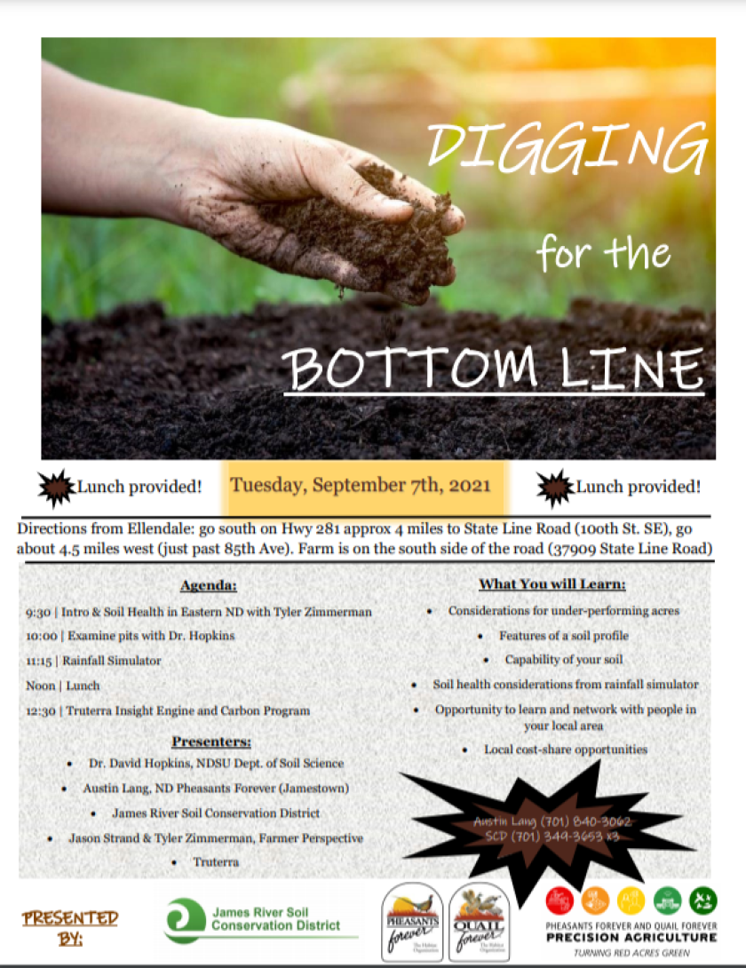 digging-for-the-bottom-line.png