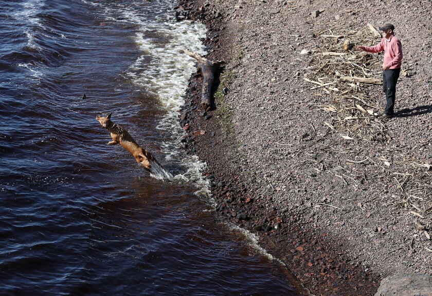 Tad Sears, of Duluth, tosses a rock into Lake Superior at the mouth of the Lester River for his dog, Mikko, as they wait for runners
