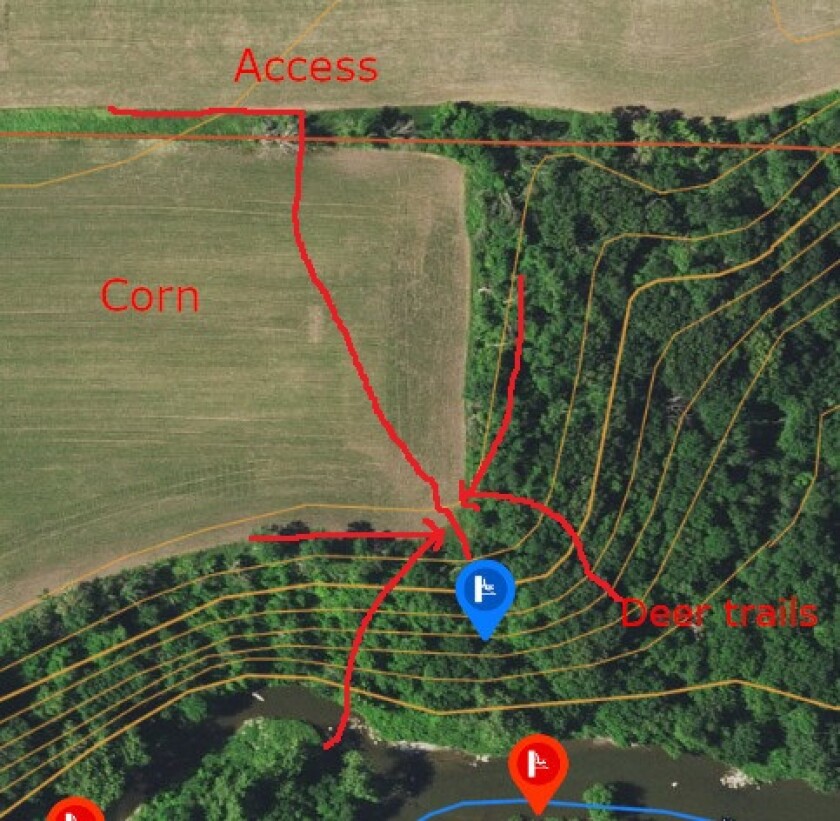 Hunting corn