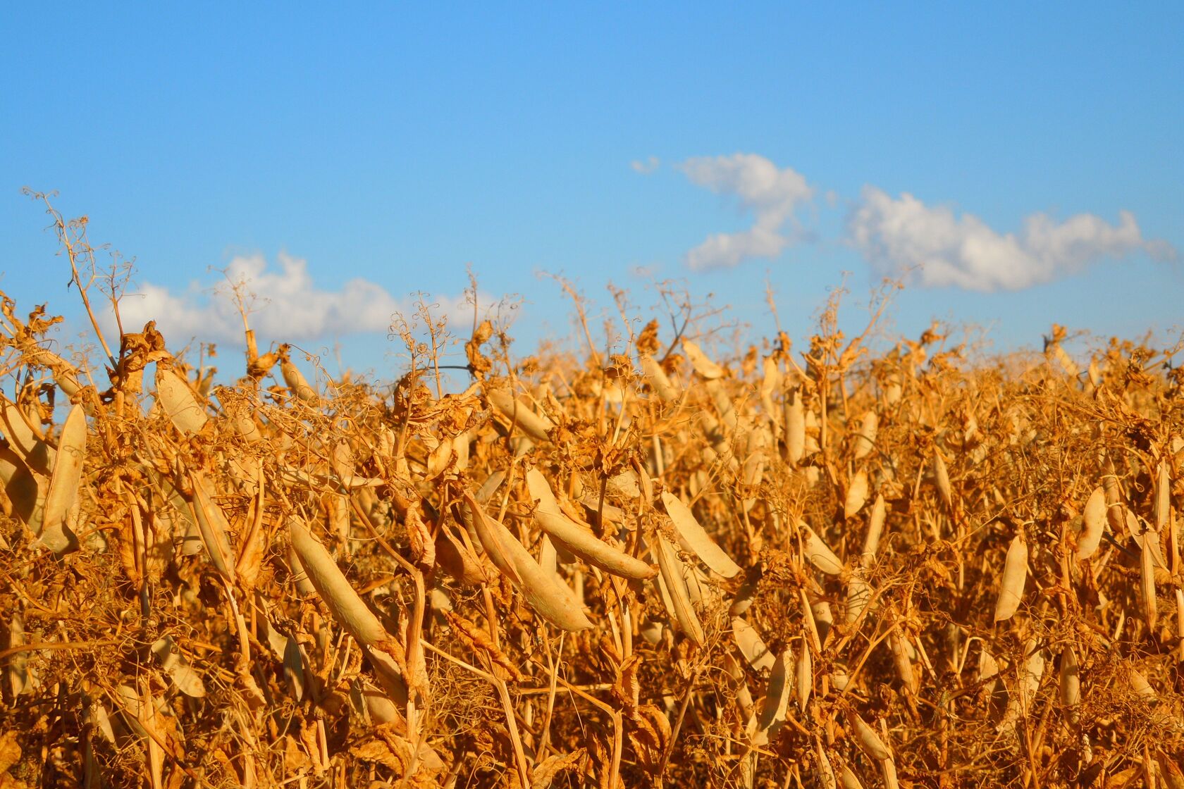 Viterra puts Grand Forks, North Dakota, rail facility on the auction block Agweek 1 source Viterra puts Grand Forks, North Dakota, rail facility on the auction block Agweek 1 source