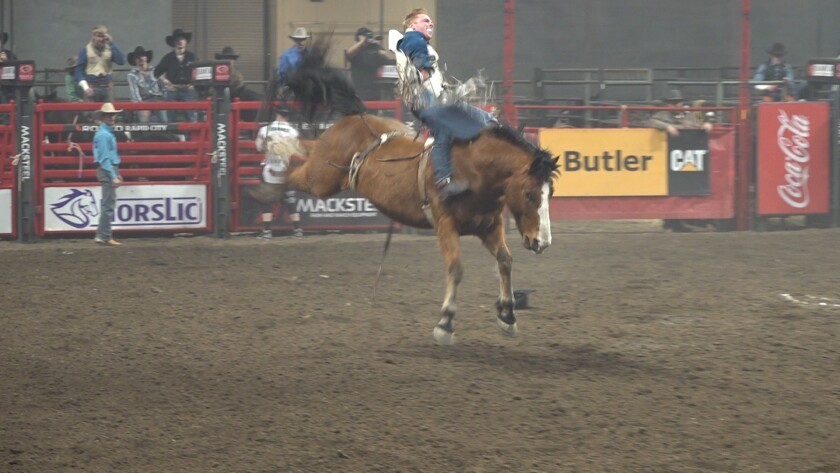 HIGHLIGHTS: Rodeo Rapid City rolls into the final weekend - Rapid City ...