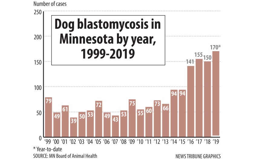 Blastomycosis.jpg