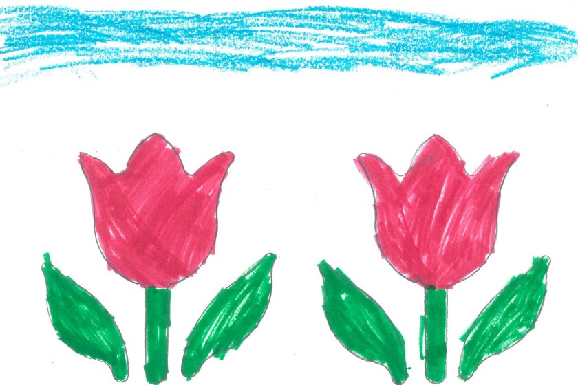 Details through the tulips. Weather rawing by Anika Seitzer of Mrs. Smith's first-grade class at St. Francis of the Lakes Catholic School.