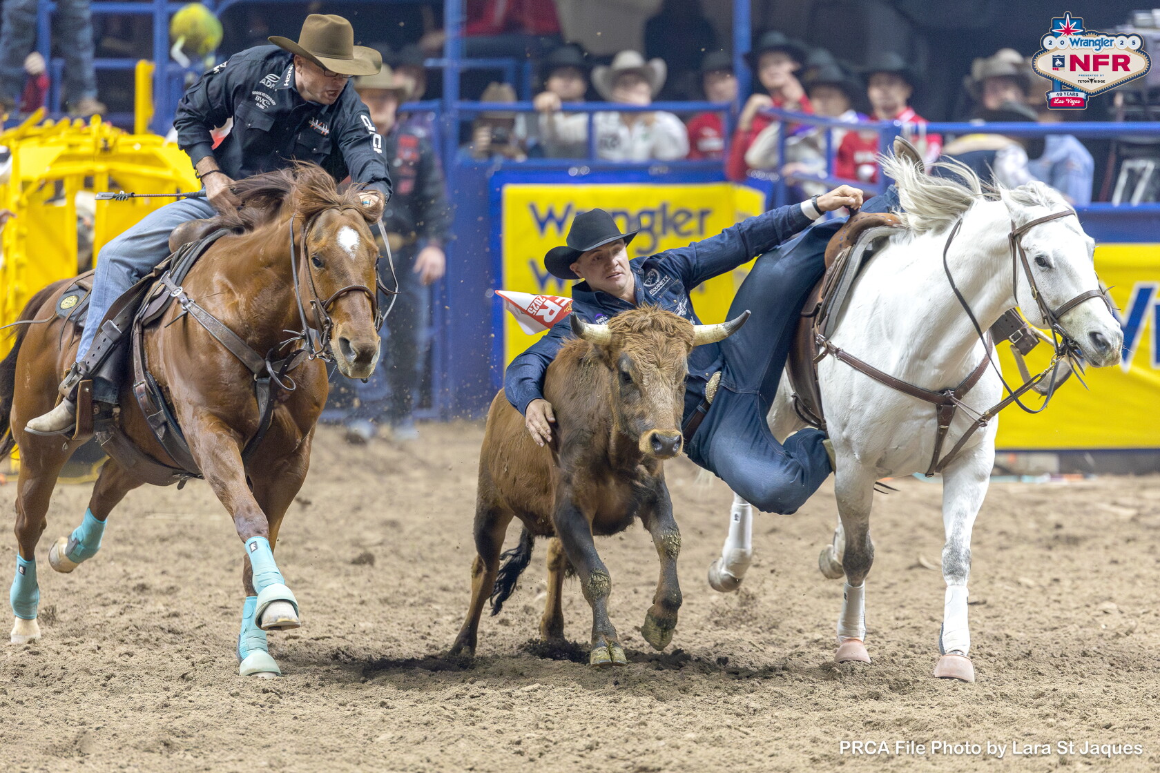 Mvta Rodeo Pro Rodeo: Struxness settles for 6th place - West Central Tribune ...