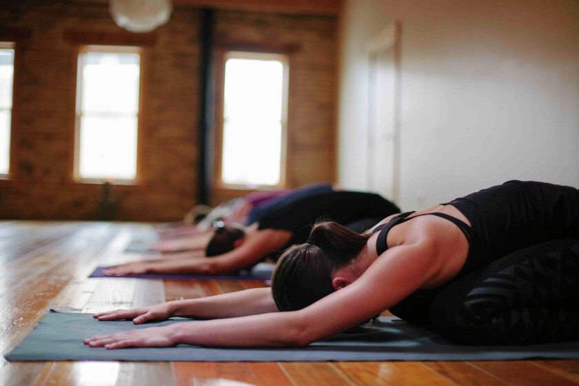 The warrior 2 pose, pictured here, is common within vinyasa-style yoga. Photo by Noah Kupcho, Submitted by Ecce Yoga / Special to The Forum