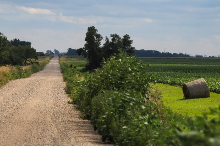 The rural road leading to the Leppert family ranch in LaMoure County, North Dakota, on Aug. 13, 2024..jpg