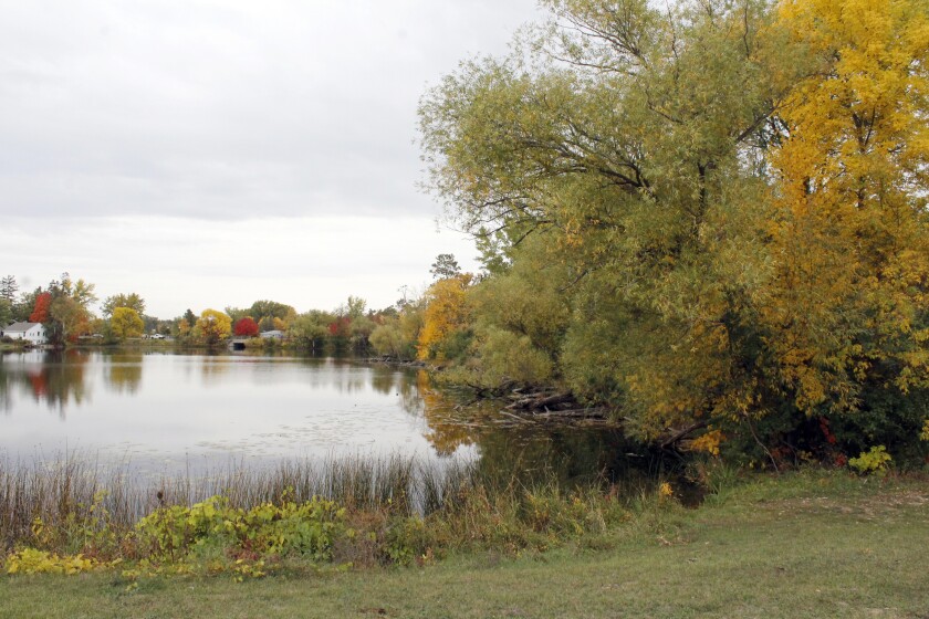 100822.N.PRE.RiceParkFallColors6438.jpg