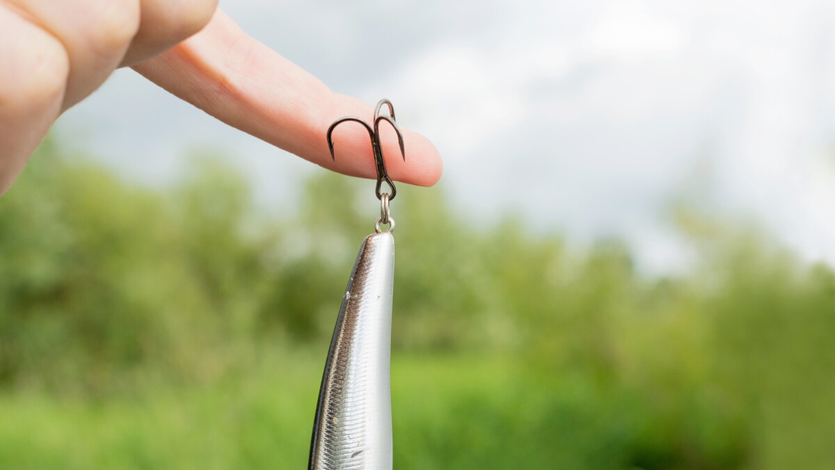 Hooked while fishing? Here's what you should and shouldn't do - Perham Focus | News, weather, sports from Perham Minnesota Hooked while fishing? Here's what you should and shouldn't do - Perham Focus | News, weather, sports from Perham Minnesota