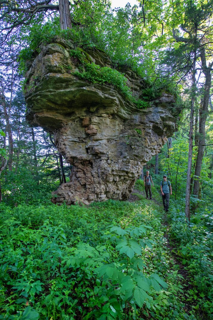 Hunting for 'cabbage rocks' in the Driftless region - Post Bulletin ...