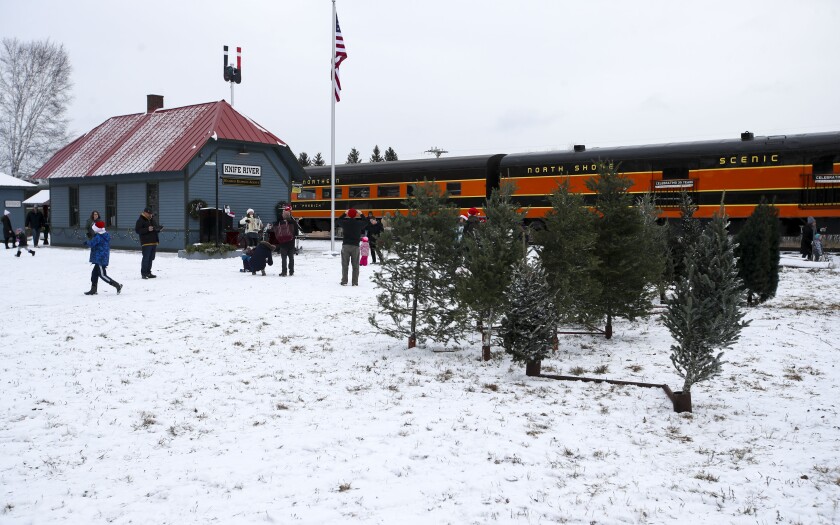 112721.N.DNT.TREETRAIN.C08.jpg