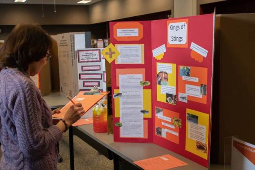 Region 5 students tackle science fair - Brainerd Dispatch | News
