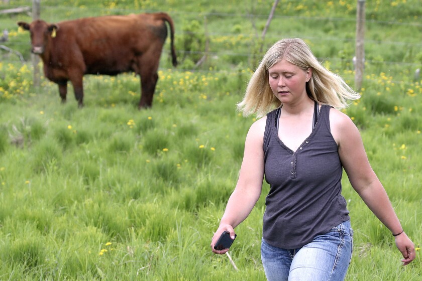On the Johnson Ranch.