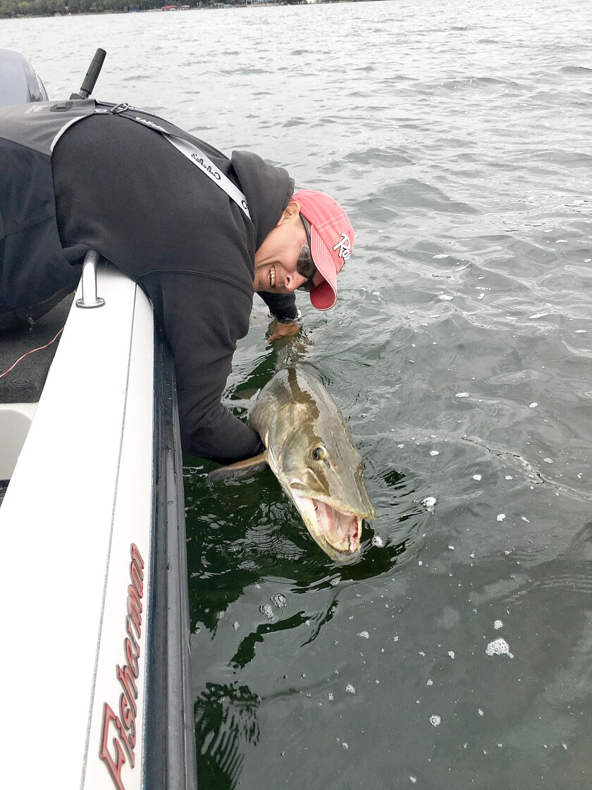 It's good practice to release the fish as soon as possible and avoid a prolonged fight to prevent the build up of lactic acid in the fish. (Gary Korsgaden / For the Enterprise)