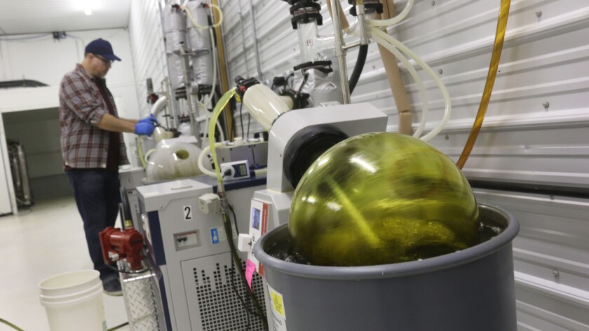 021720.AG.PrairieProductsHempCBDOil05.jpg