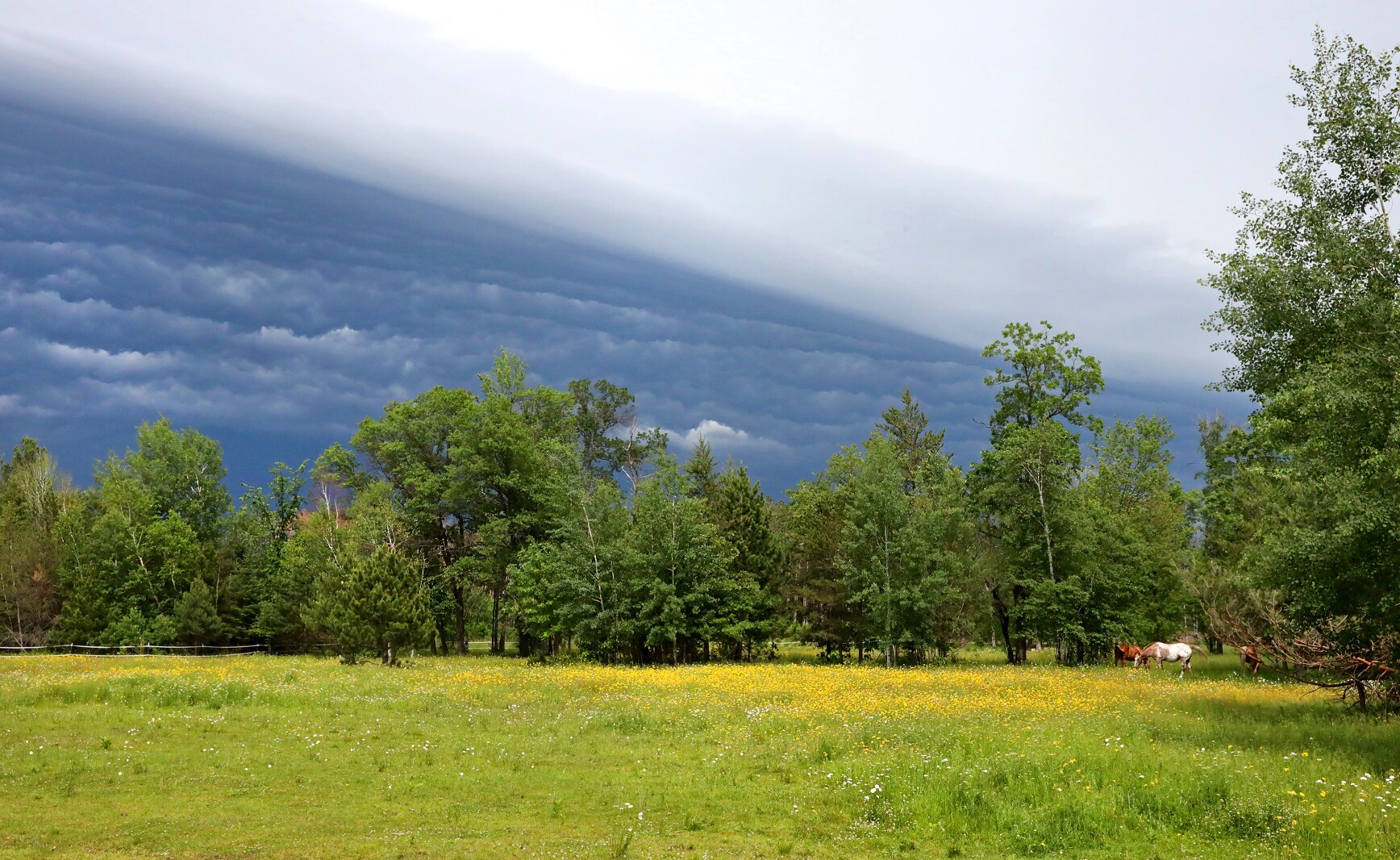 Dramatic looking storm clouds move through the area Saturday, June 18, 2022, in the Brainerd lakes area.