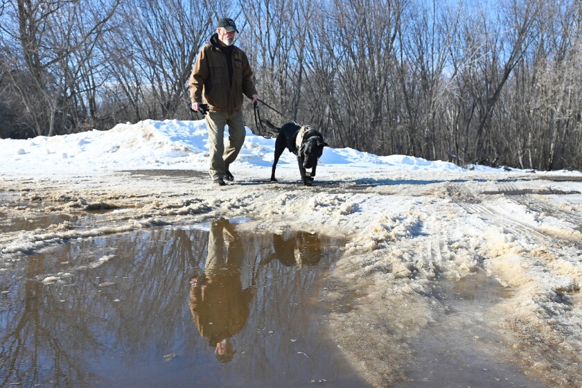 Man walking his dog reflected in meltwater.