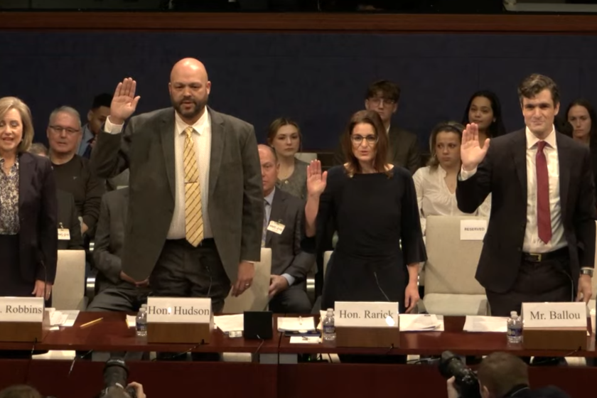Marion Rarick Minnesota representatives accuse Democrats of overlooking fraud in ...