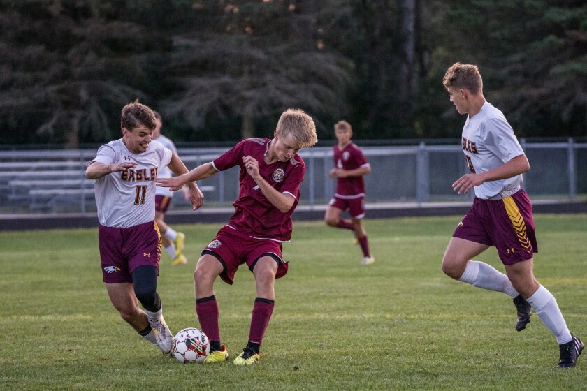 Stewartville, Dover-Eyota boys soccer