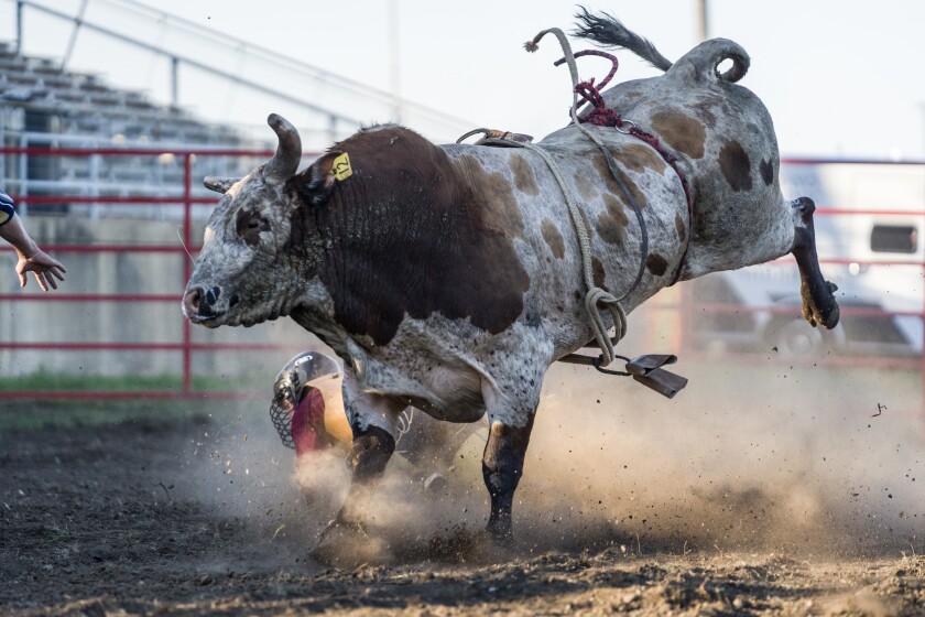 Olmsted County Fair