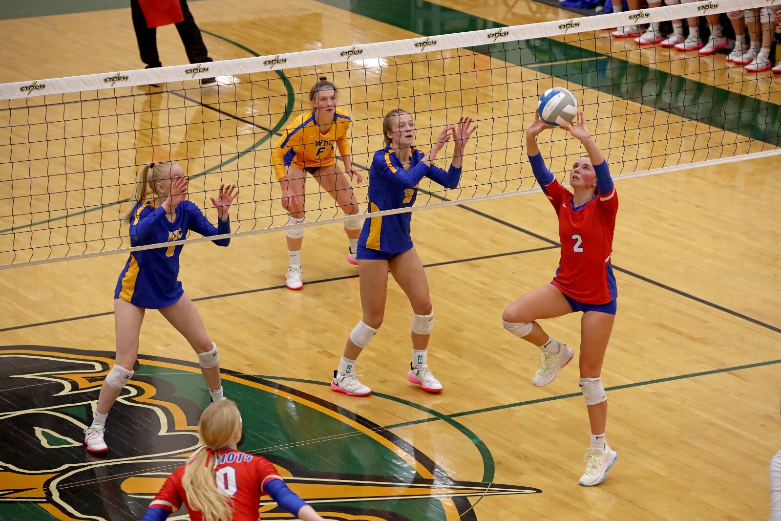 Pequot Lakes vs Wadena-Deer Creek Volleyball on Thursday, Nov. 3, 2022, in Sauk Rapids.