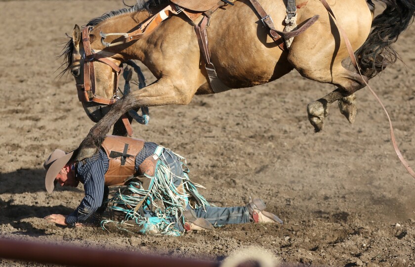 A Few Extras: The photographer's view - Jamestown Sun | News, weather ...