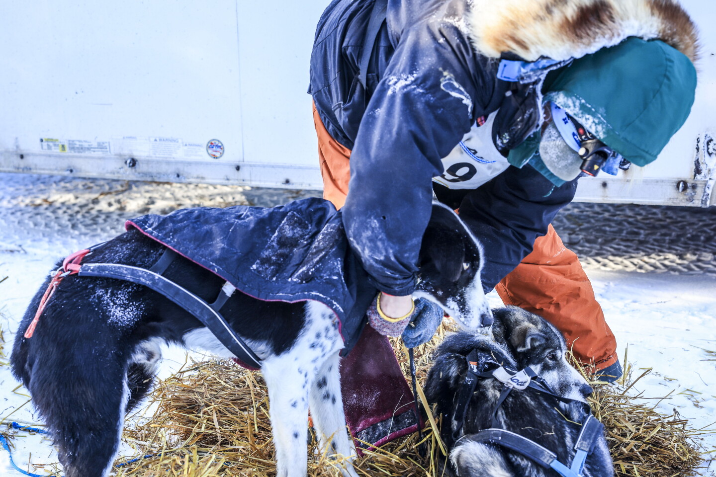 Dog Riding Checkpoint Photos: John Beargrease Sled Dog Marathon reaches Mineral Center ...