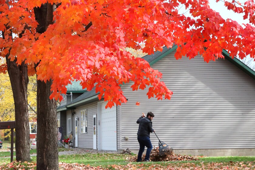 110221.N.BD.RakingLeaves1.jpg