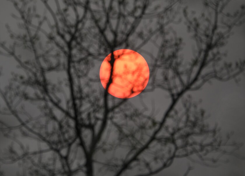 Wildfire sun