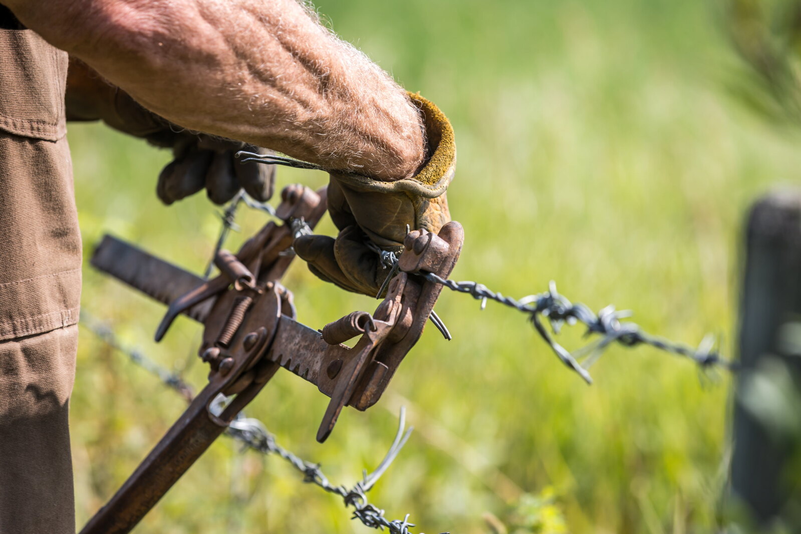 Good neighbors were more important than good fences