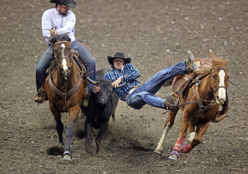 Press Get Rodeo Photos from the PRCA Rodeo at the Fargodome - InForum | Fargo, Moorhead ...