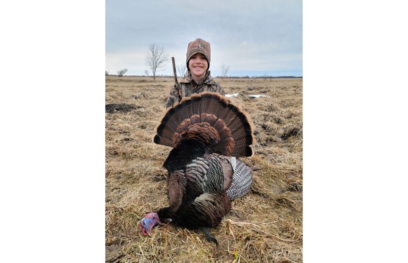 Cain Furstenau wild turkey 1.jpg