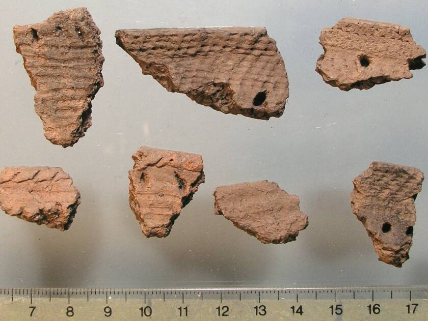 Pottery sherds 509f1e-20220228-archaeology02-1446.jpg