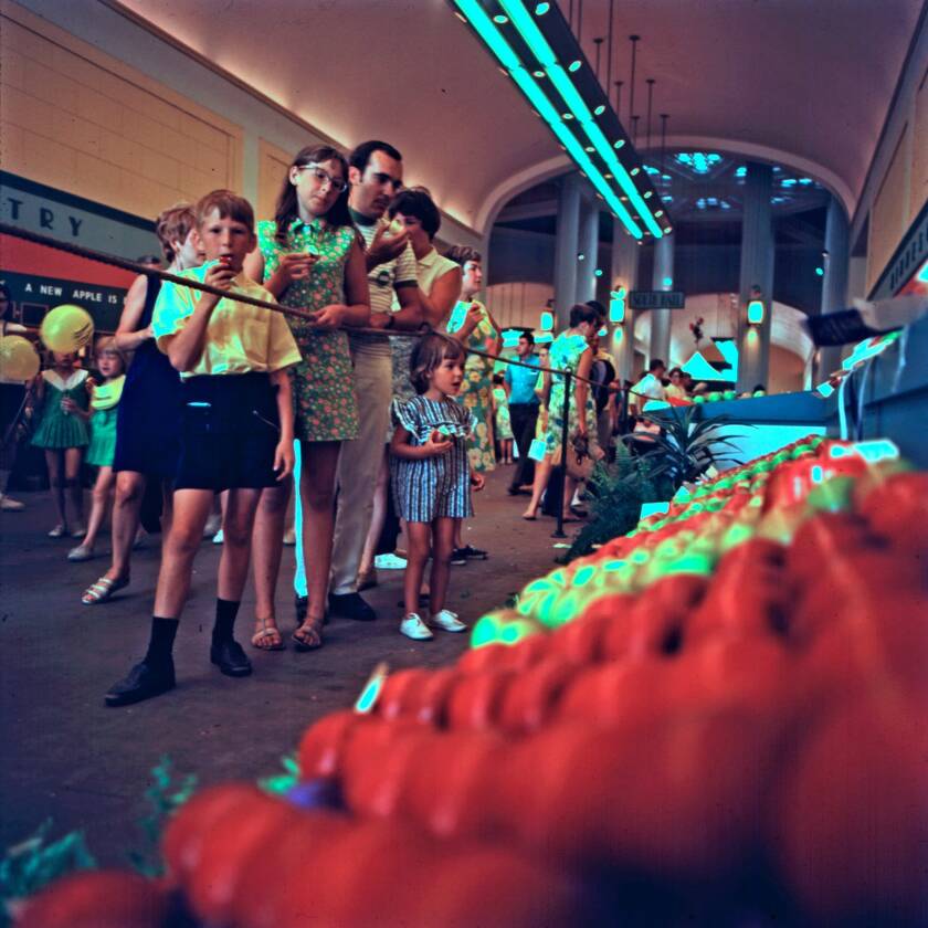 mprhort5.jpg