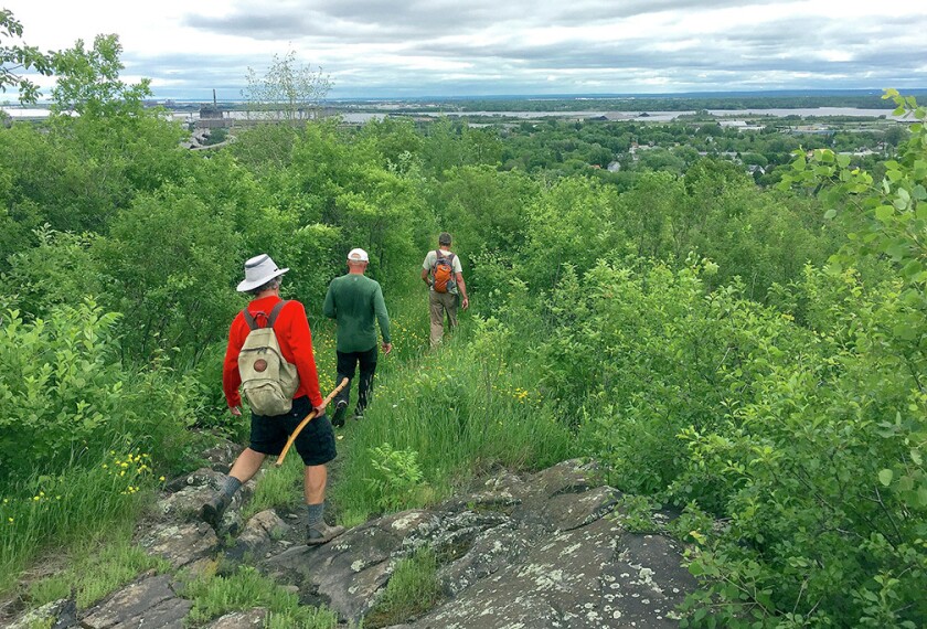 File: Superior Hiking Trail.jpg