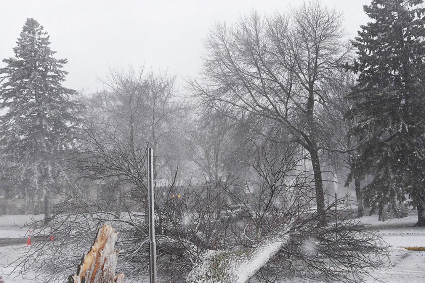 2975619+112016.N.WCT_.SnowPhotos_002.jpg