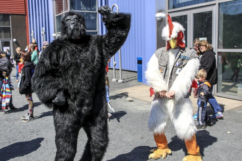 Figures in gorilla and chicken suits dance on pavement on a sunny day, with an audience of children and adults looking on.