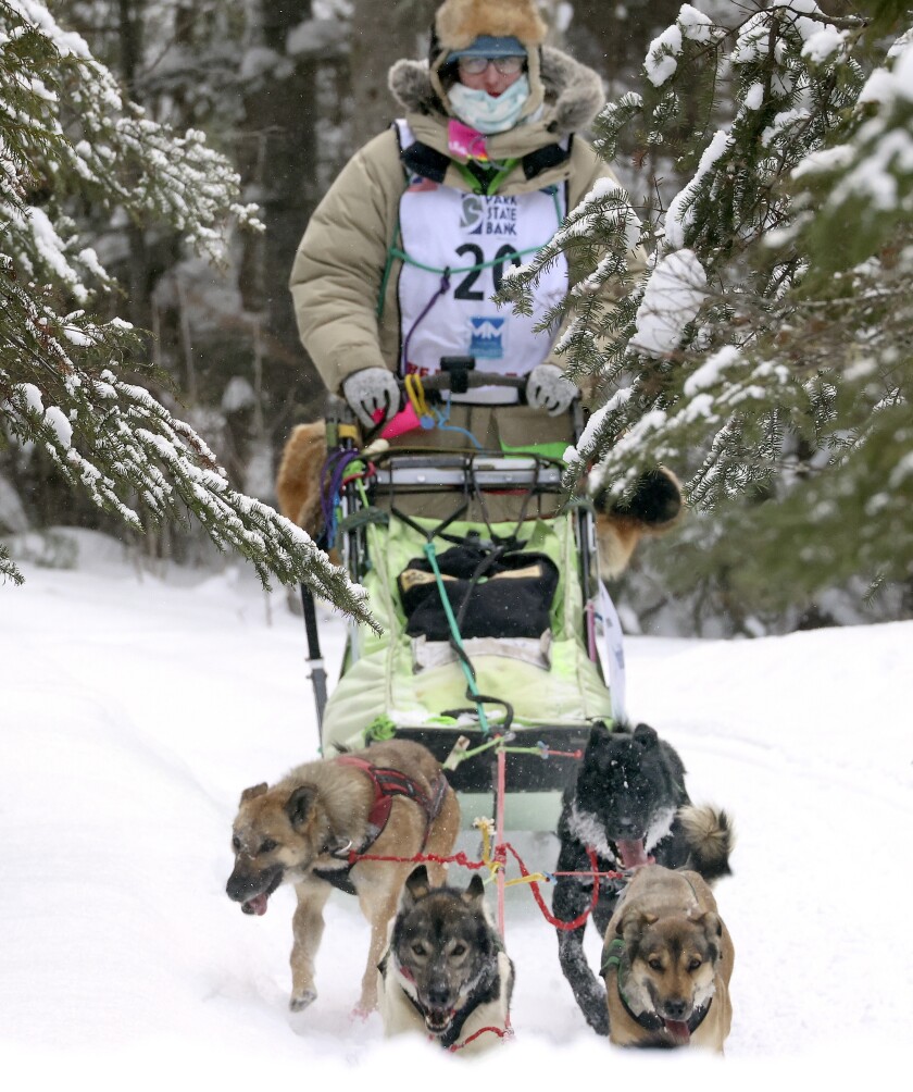Beargrease Marathon racer.