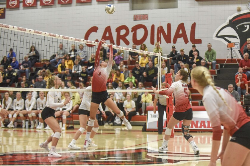 100819.S.WCT.LocalRoundupVolleyball.0316 (1).jpg