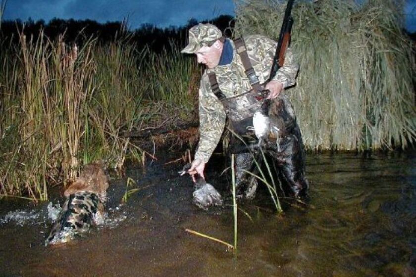 Mn Youth Duck Hunt 2025