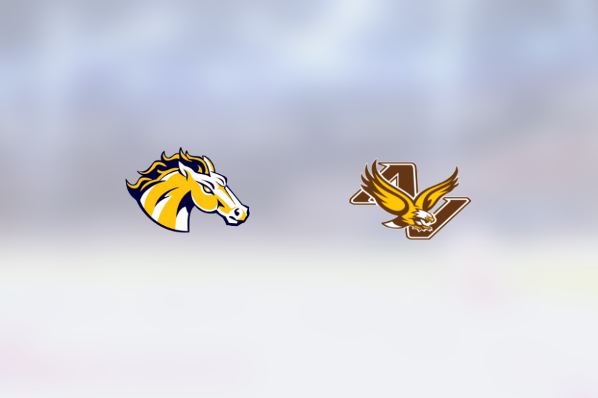 img_500231899_rinklive.png