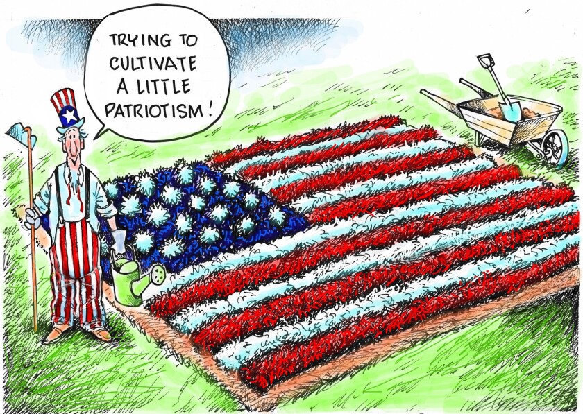Editorial cartoons for Flag Day, June 14 - Duluth News Tribune | News ...