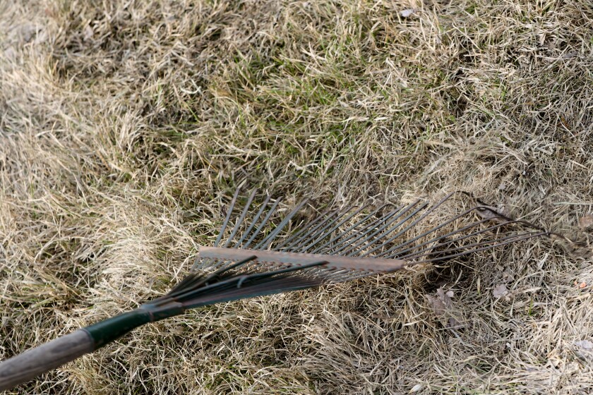 040222.F.FF.GrowingTogether.1